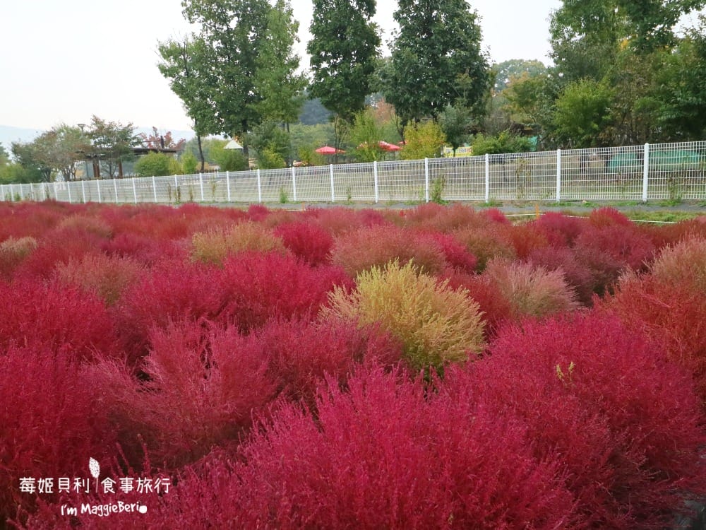 20181024220725_72