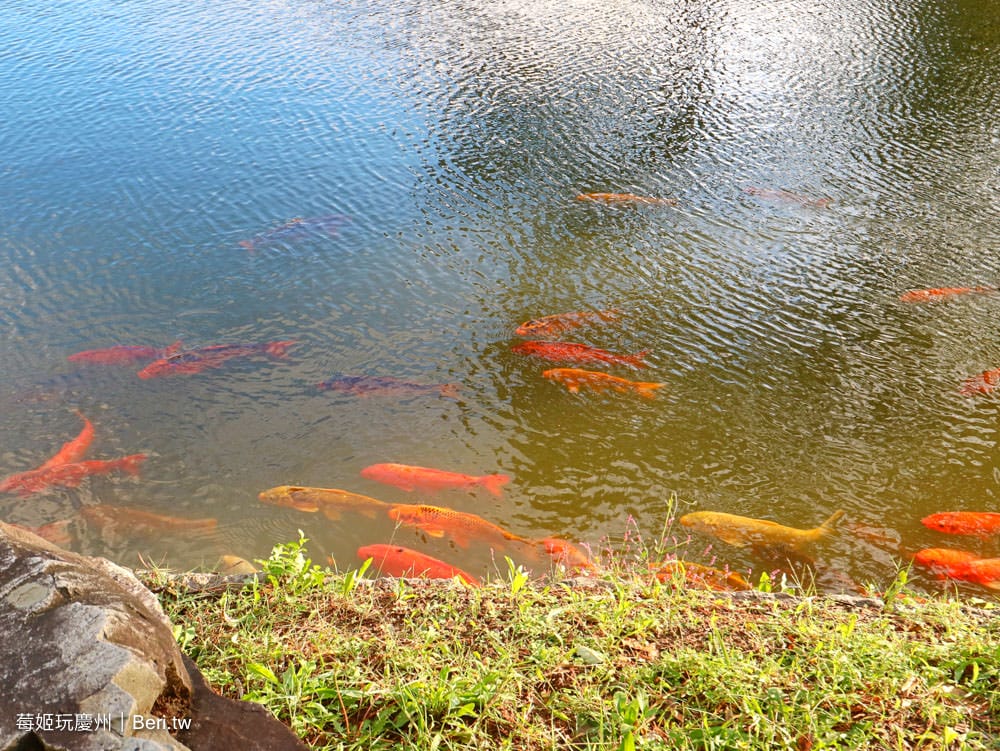 20190507033652_80