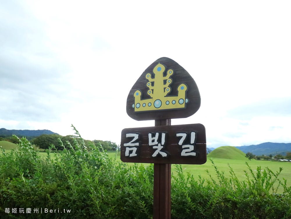 20190508021259_43