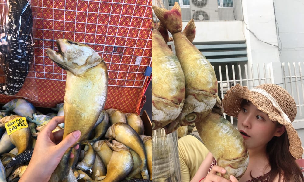 20190526043033_50