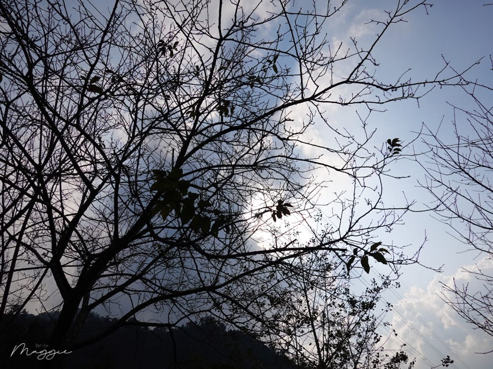 20191104193516_18