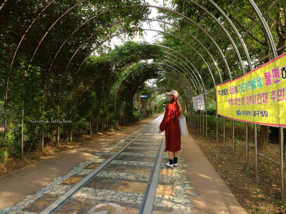 【韓國大邱】大大小小幸福村，充滿童趣與復刻感的壁畫村，大邱適合拍照+散步的景點 (東村站)