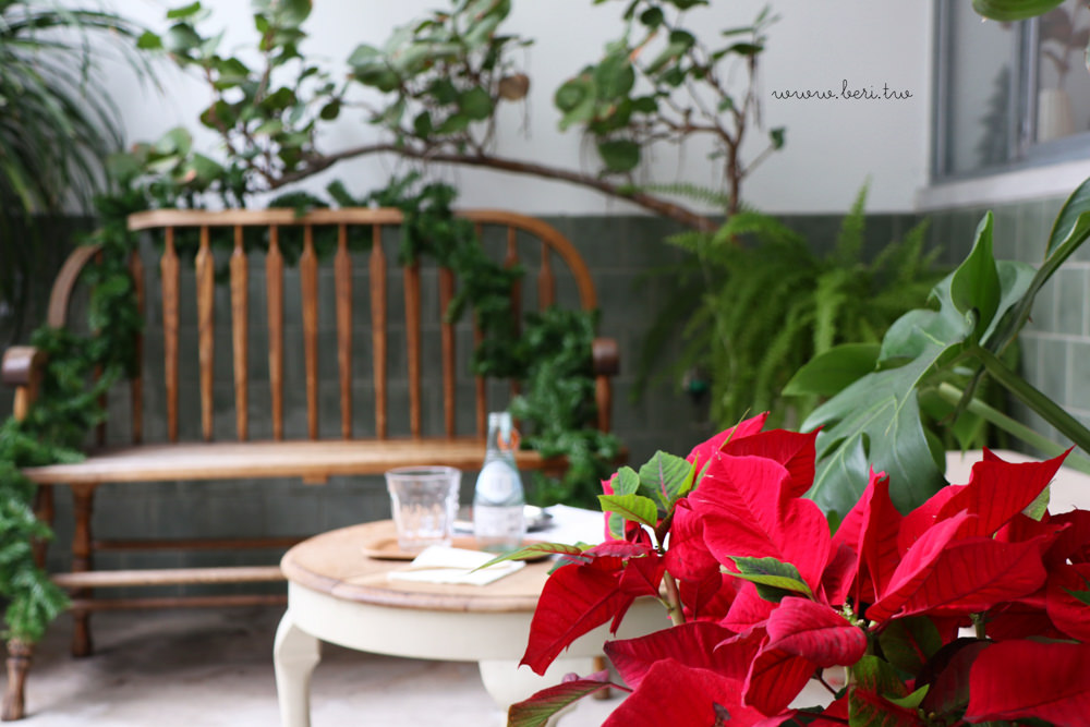 【信義安和站】TAMED FOX文青感咖啡廳/鄉村風小庭院，充滿綠色植物，台北超推薦的咖啡廳