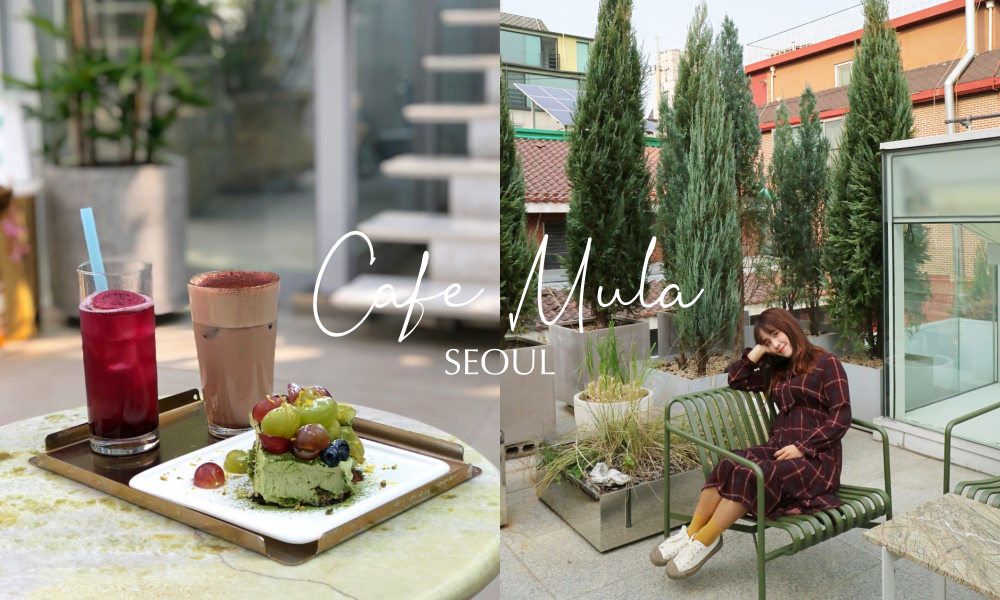 首爾咖啡廳》Cafe Mula新沙洞「玻璃屋咖啡廳」，被綠色植物包圍的絕美空間，清新感爆棚的咖啡館 @莓姬貝利 食事旅行