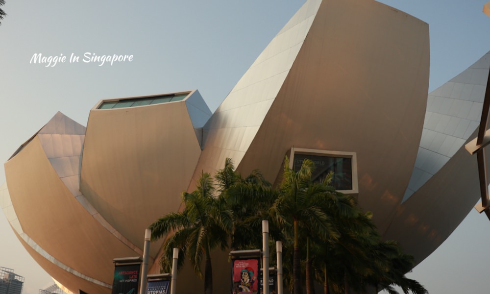 【新加坡自由行】藝術科學博物館3大必看特色！金沙購物中心的巨型蓮花建築，必看燈光秀！ @莓姬貝利・食事旅行