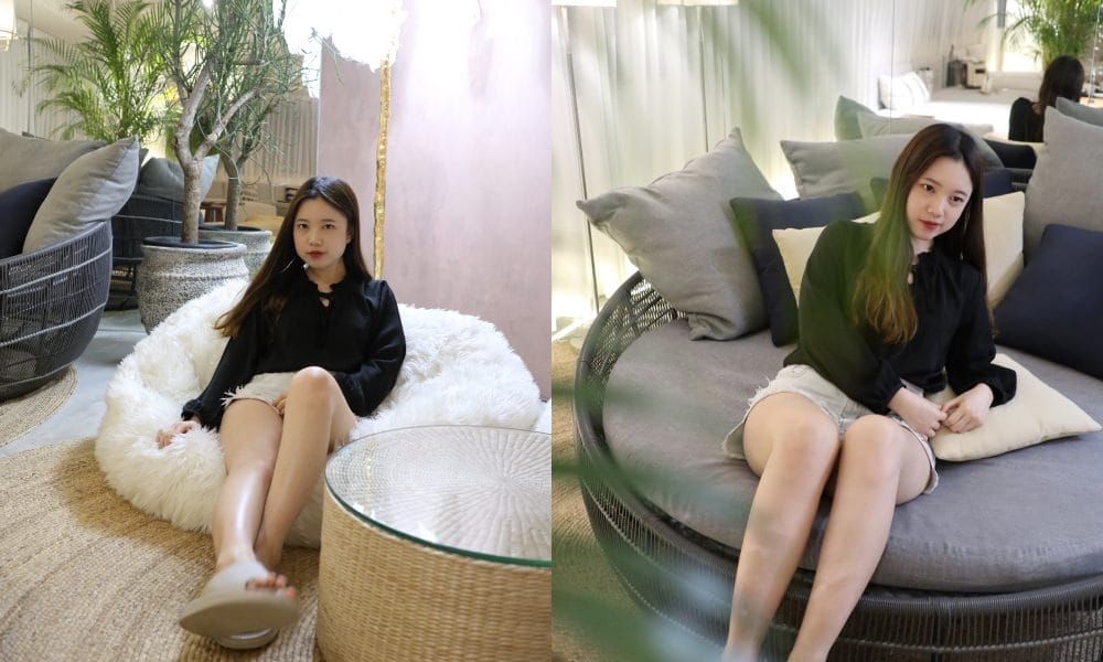 33莊園2 33莊園2