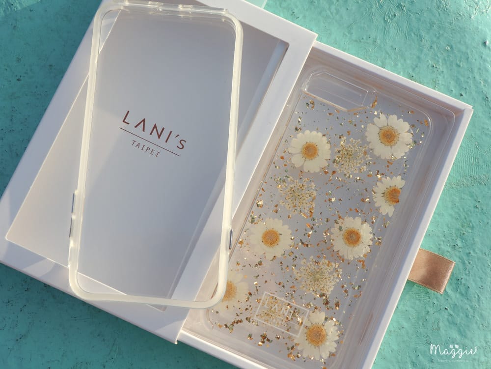 LANIS-4