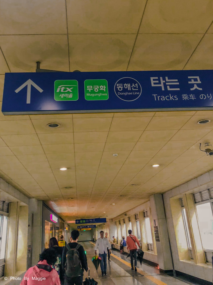 【如何從釜山去慶州】搭乘無窮花號火車從釜山到慶州的交通方式｜買火車票、在哪裡上下車？