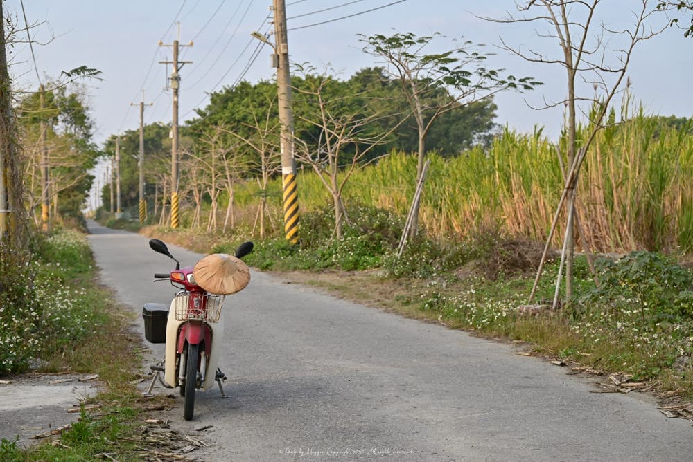 龍巖糖廠遺址-3 龍巖糖廠遺址-3