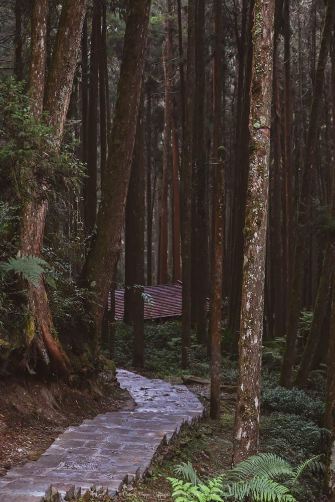 阿里山-2 阿里山-2
