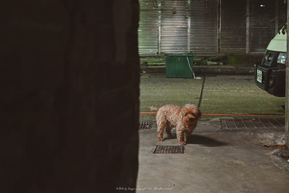 基隆-第34夜-崁仔頂美食-12