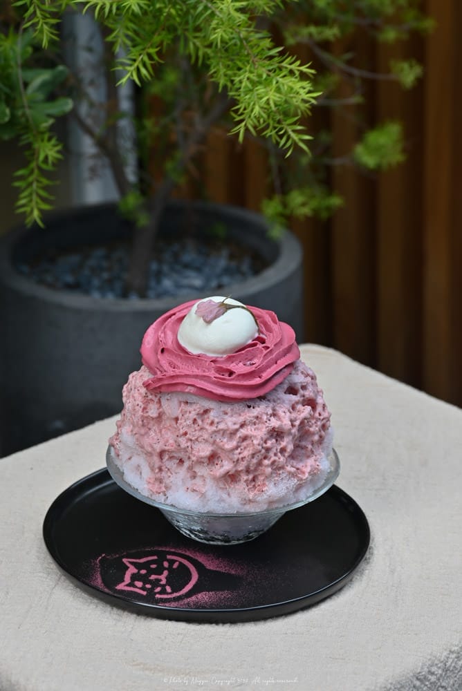 金雞母-Jingimoo永康店-29