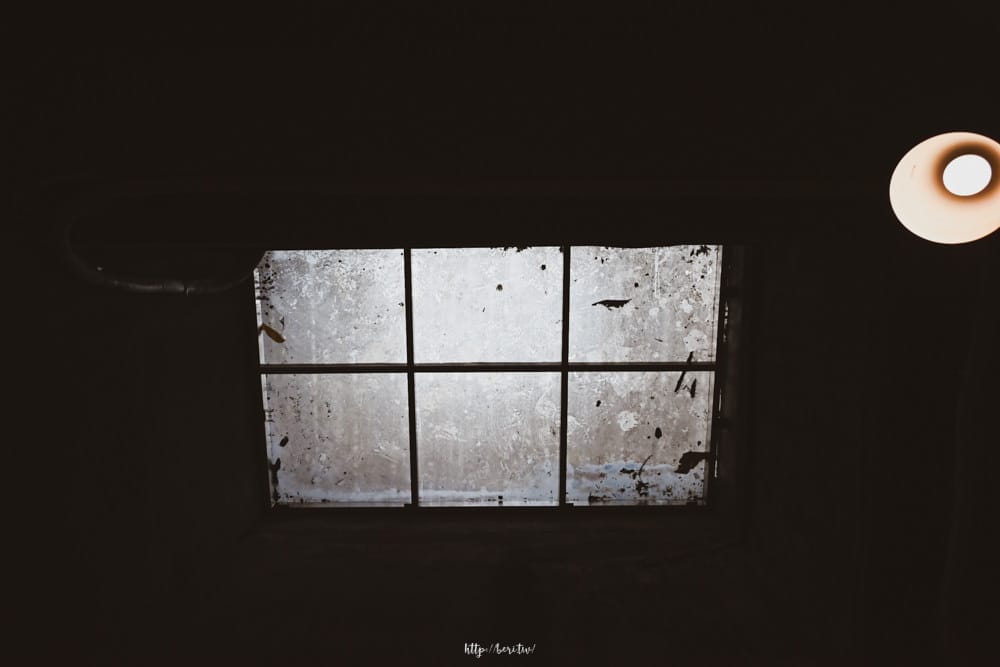 文魚走馬-21