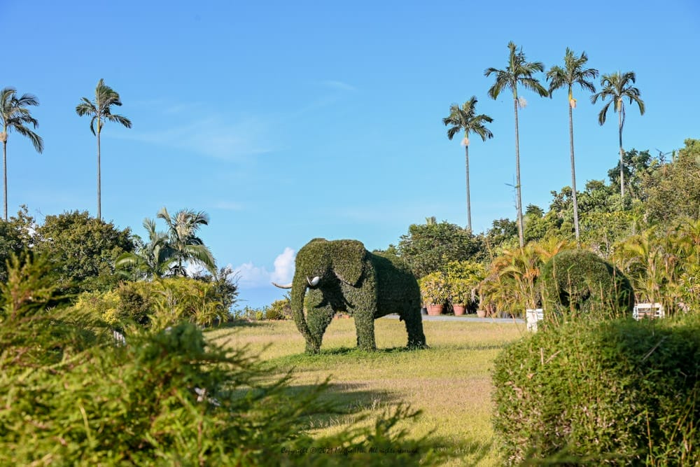 仁山植物園-10 仁山植物園-10