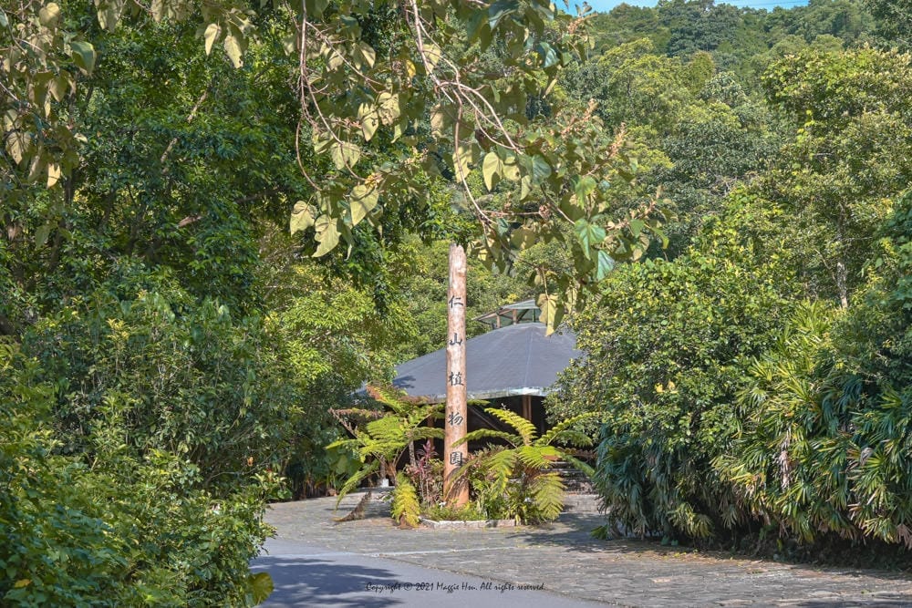 仁山植物園-13 仁山植物園-13