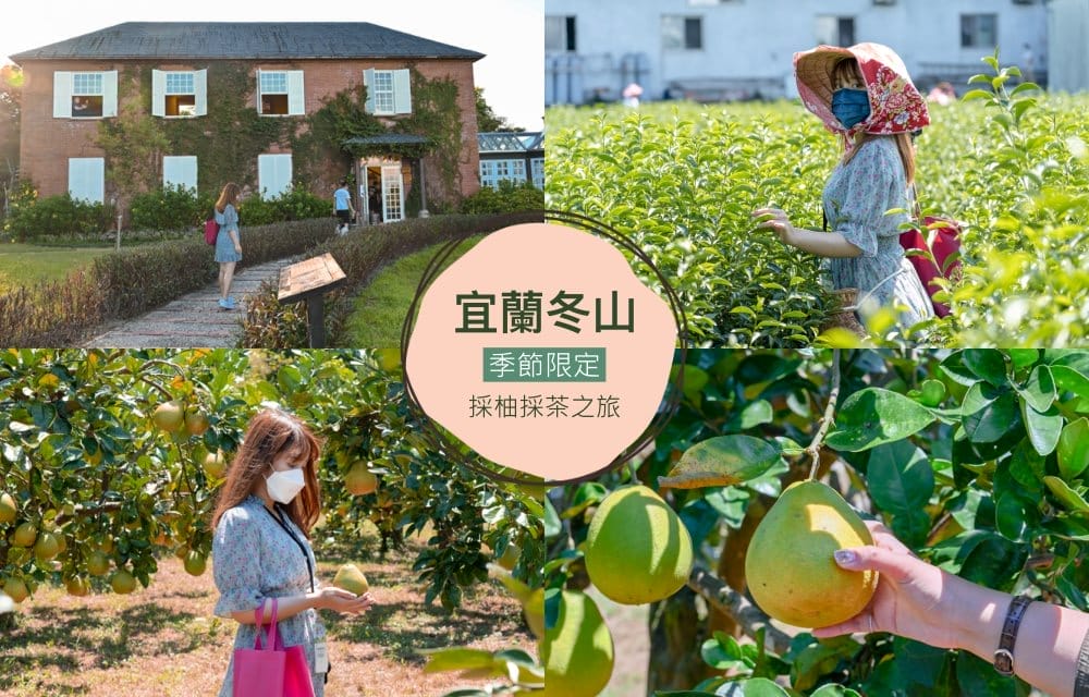 封面-1 封面-1