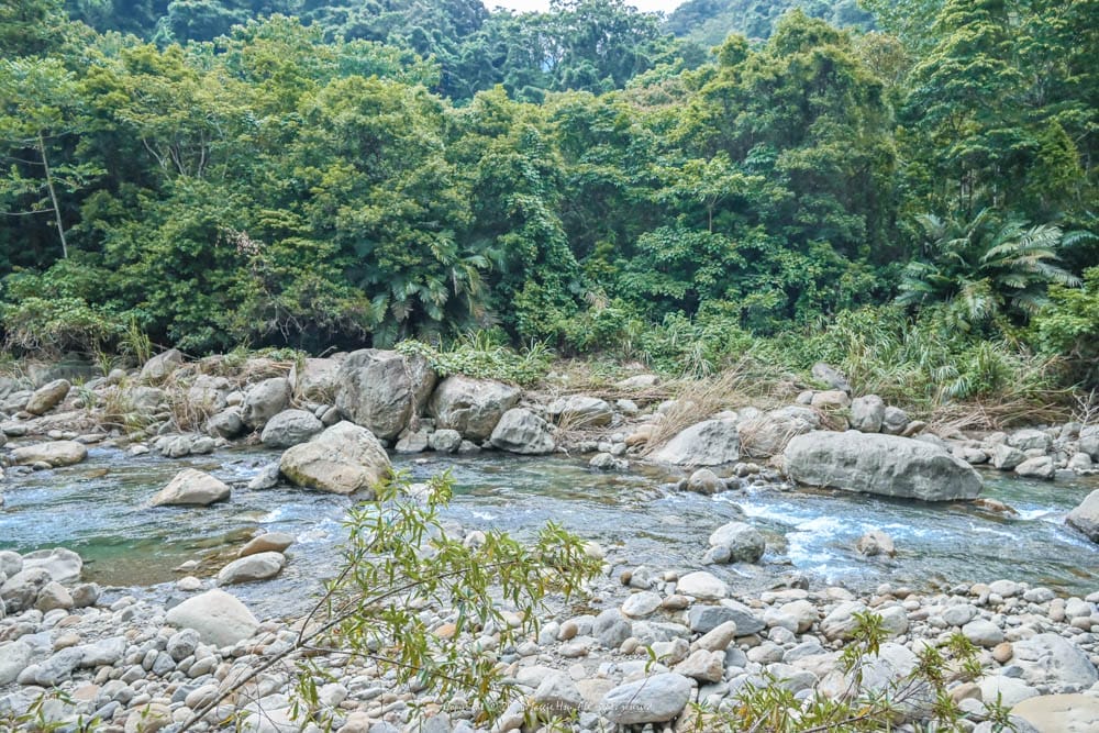 南庄蓬萊溪護魚步道-2