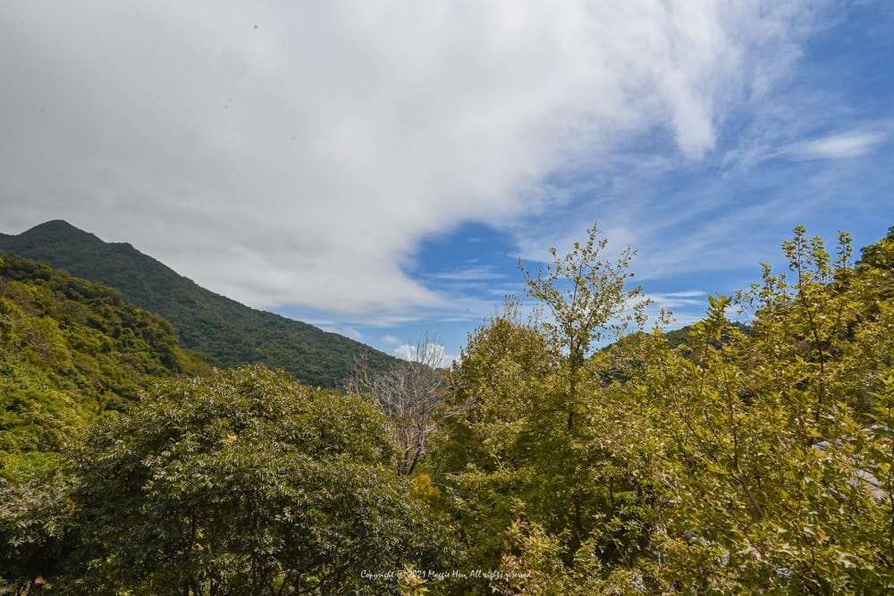 宜蘭頭城-藏酒酒莊-19
