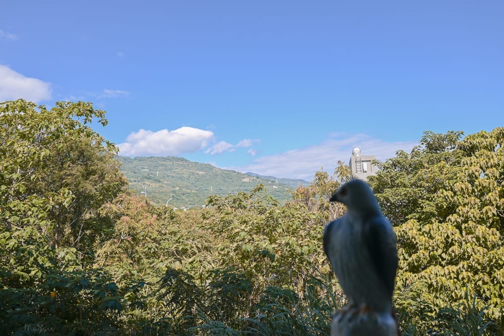 台東夏草行旅公共區域-16