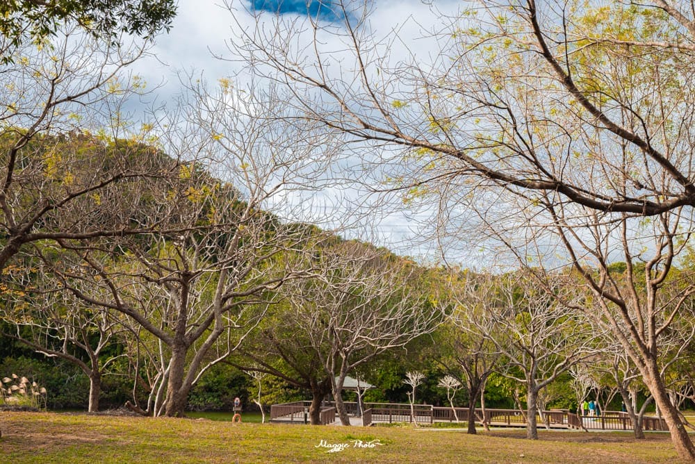 三坑自然生態公園-2 三坑自然生態公園-2
