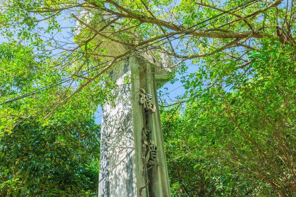 和美山步道-02 和美山步道-02