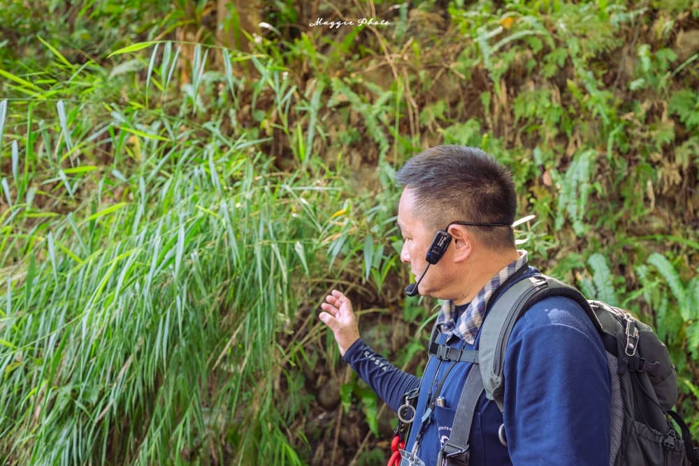 和美山步道-03 和美山步道-03
