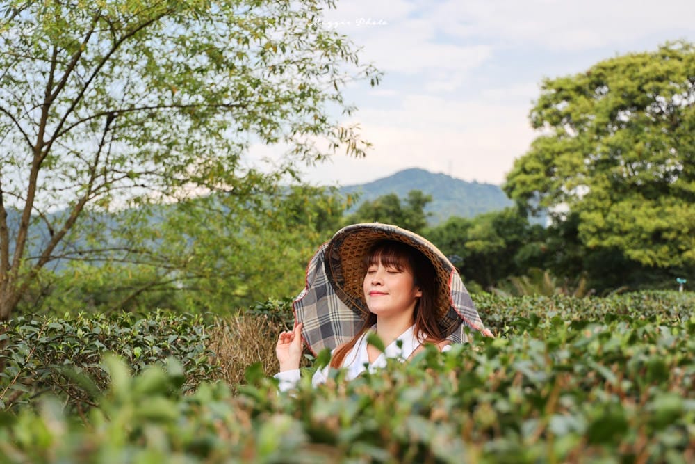 文山農場-14 文山農場-14