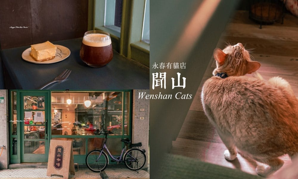 聞山有春店