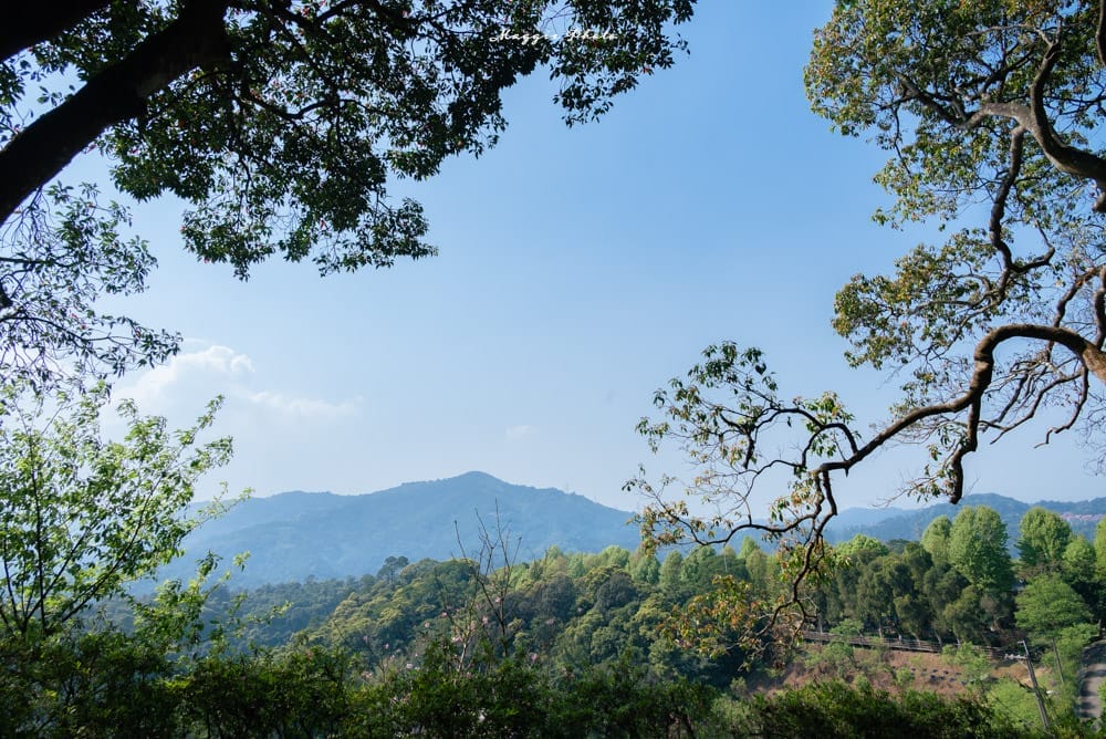 文山農場-04 文山農場-04