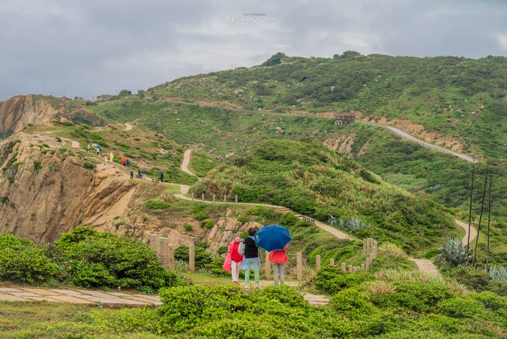 東洋山步道-4