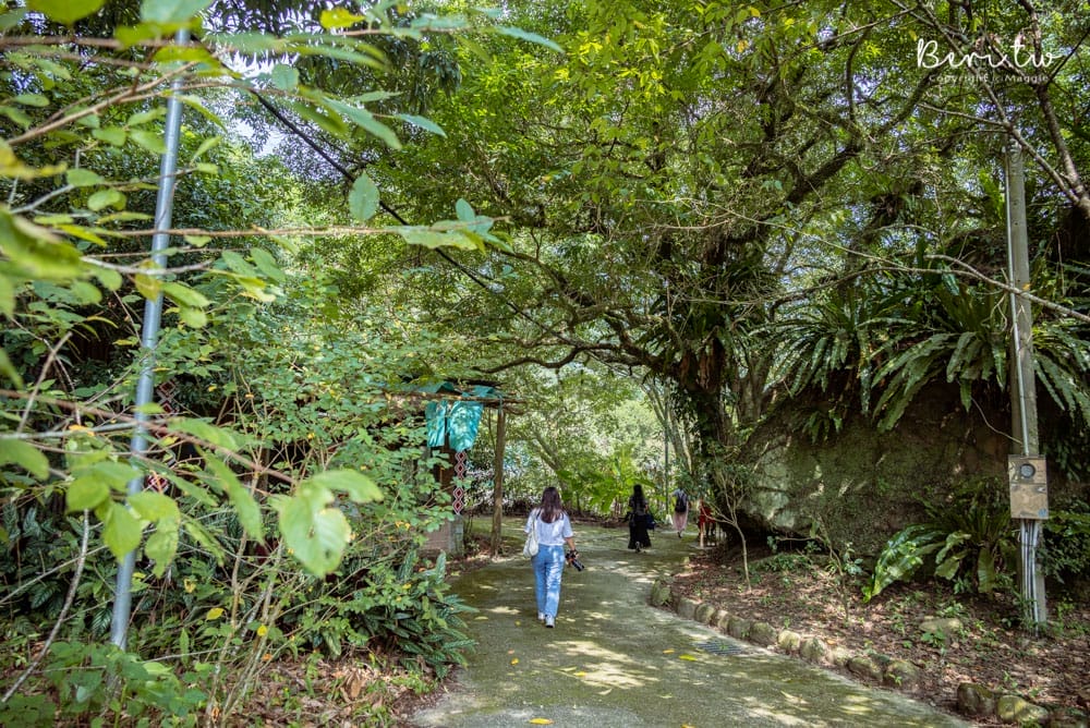 蓬萊社區嘎嘎歐岸部落-4 蓬萊社區嘎嘎歐岸部落-4