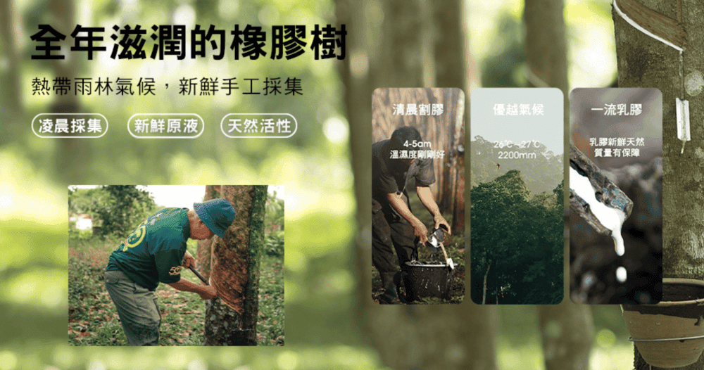 截圖-2023-05-31-上午9.59.39