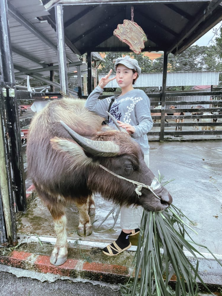 Farm-Yilan-16-1
