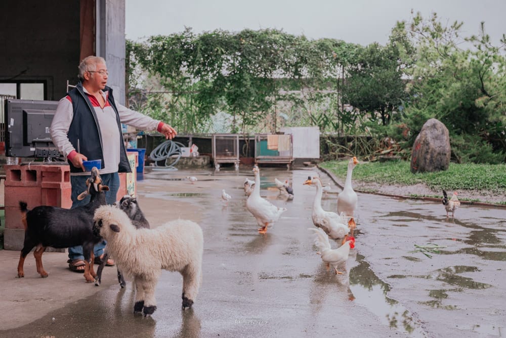 farm-yilan-17-1
