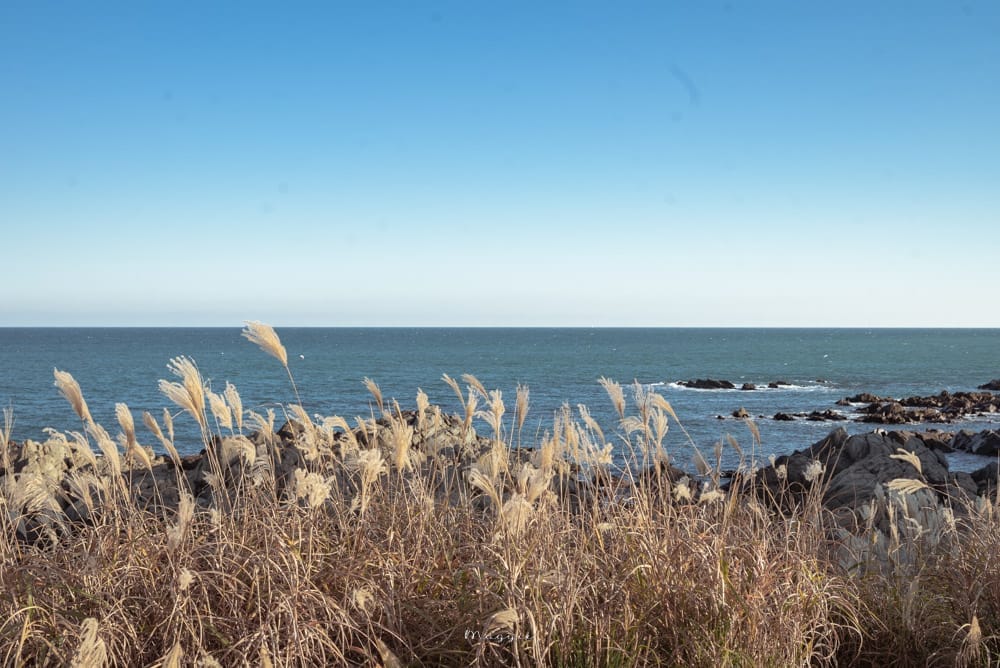 ANANTI-COVE-18