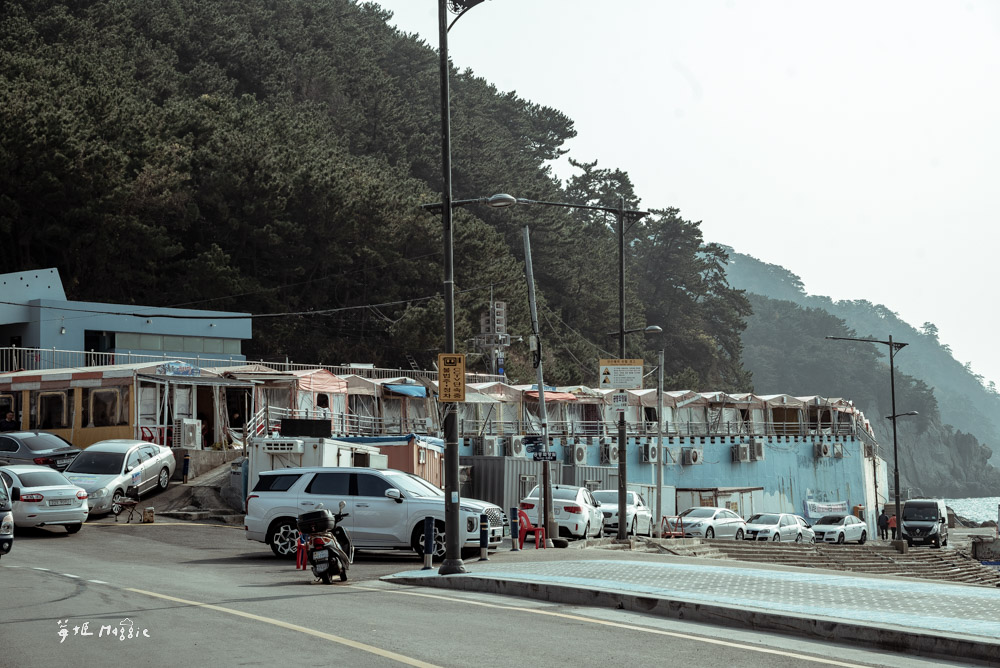 【釜山美食】太宗台烤貝街，海岸旁的布帳馬車大啖海鮮生章魚