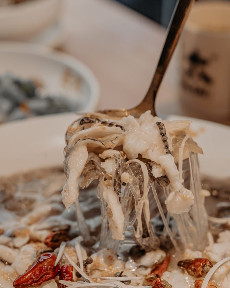zheng-tai-fish-17