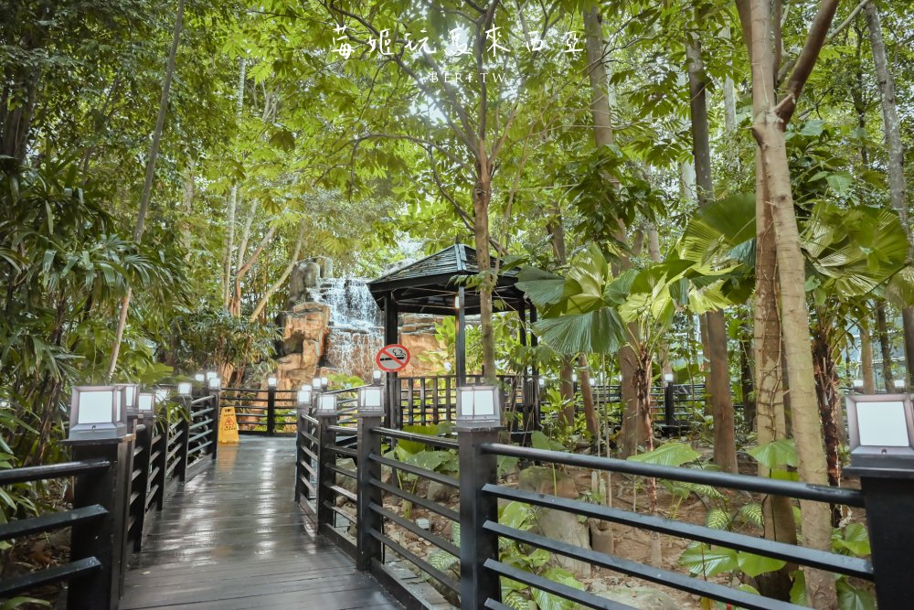 【吉隆坡機場】KLIA Jungle Boardwalk隱藏版叢林步道，機場位置