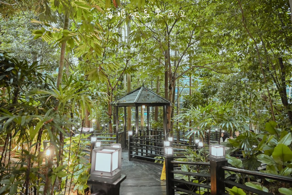 【吉隆坡機場】KLIA Jungle Boardwalk隱藏版叢林步道，機場位置