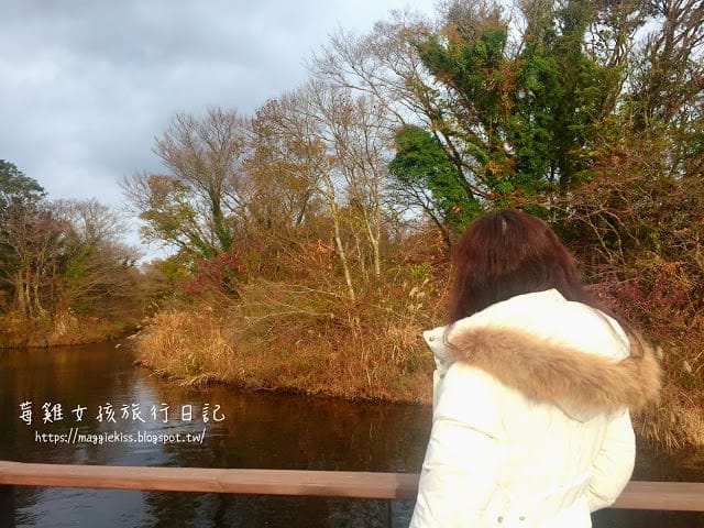 【韓國濟州島】超美 Eco Land 主題公園，英式森林小火車！交通方式/園區介紹