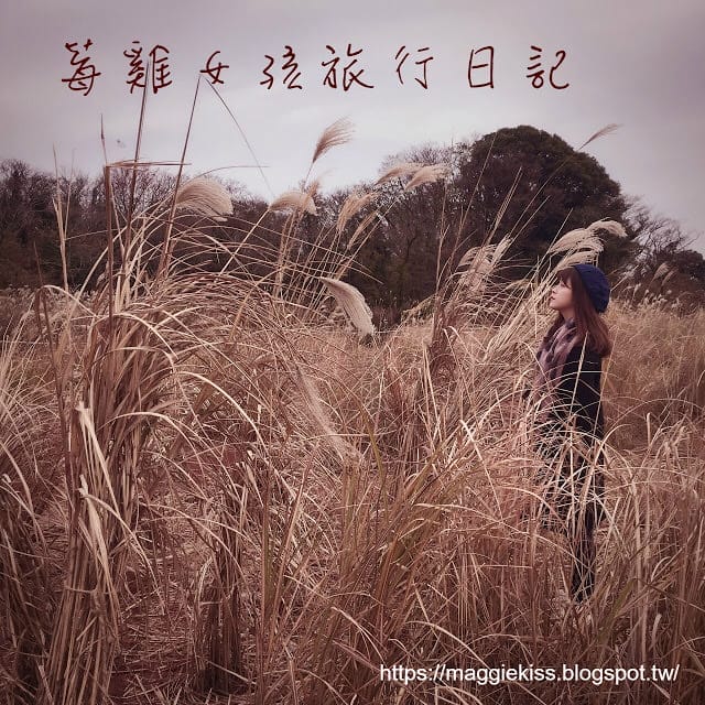 【韓國濟州島】超美 Eco Land 主題公園，英式森林小火車！交通方式/園區介紹