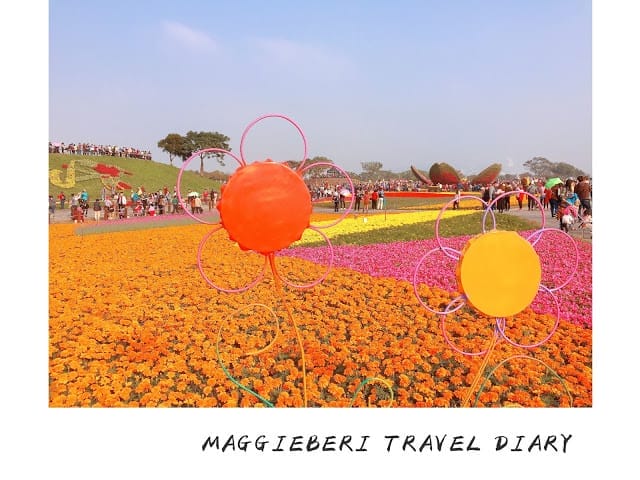 【台中景點】2018 臺中后里國際花毯節「花開的聲音」，超繽紛花海! 交通/園區介紹