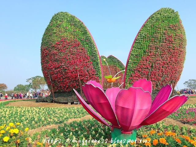 【台中景點】2018 臺中后里國際花毯節「花開的聲音」，超繽紛花海! 交通/園區介紹