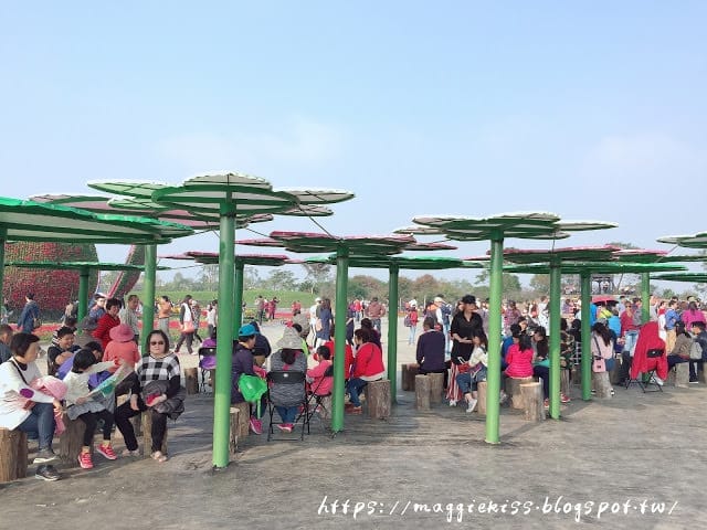【台中景點】2018 臺中后里國際花毯節「花開的聲音」，超繽紛花海! 交通/園區介紹