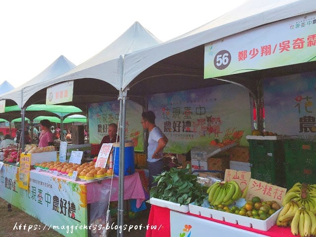 【台中景點】2018 臺中后里國際花毯節「花開的聲音」，超繽紛花海! 交通/園區介紹