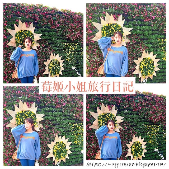 【台中景點】2018 臺中后里國際花毯節「花開的聲音」，超繽紛花海! 交通/園區介紹