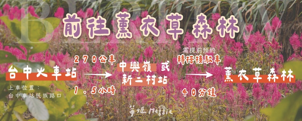 台中火車站到薰衣草森林交通方式?如何搭乘接駁車? - 第4張圖 台中火車站到薰衣草森林交通方式