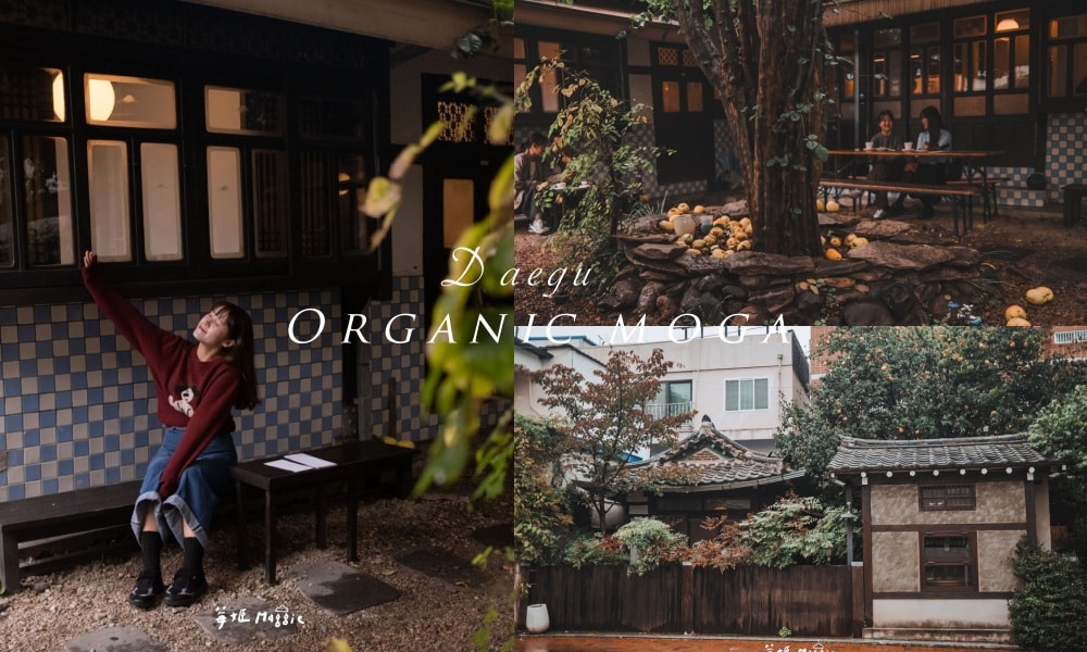 大邱金光石路韓屋咖啡廳 Organic moga 古宅與自然和諧共生