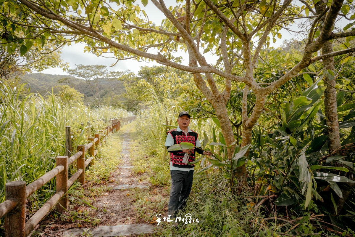 【屏東獅子鄉二日遊】從芒果園到山蘇田 走進楓林/丹路/內文的排灣部落 - 第85張圖
