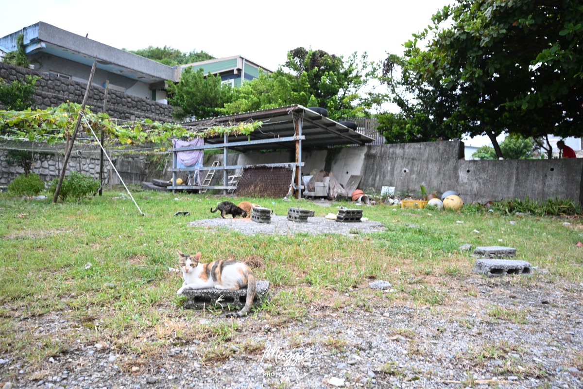 【花蓮住宿】看見七星潭民宿,平假日2000有找!走路就到海邊啦 - 第24張圖